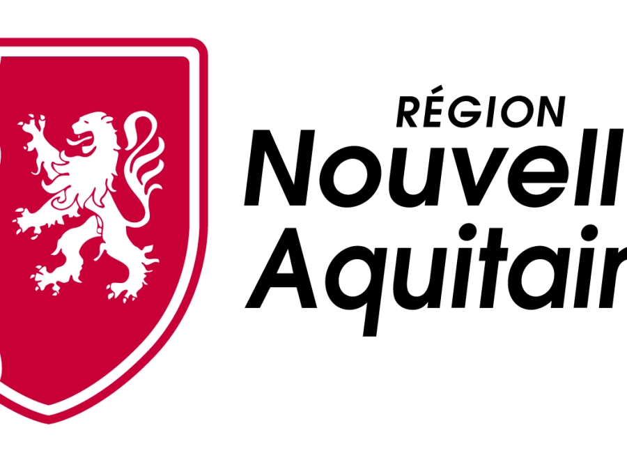 Aide de la Région Nouvelle-Aquitaine pour la transformation numérique